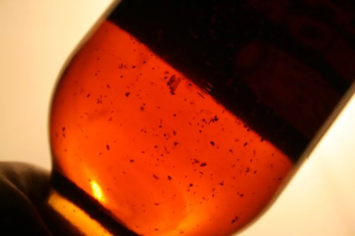 46d8412fc89ceb6e431c29f70b157dd4